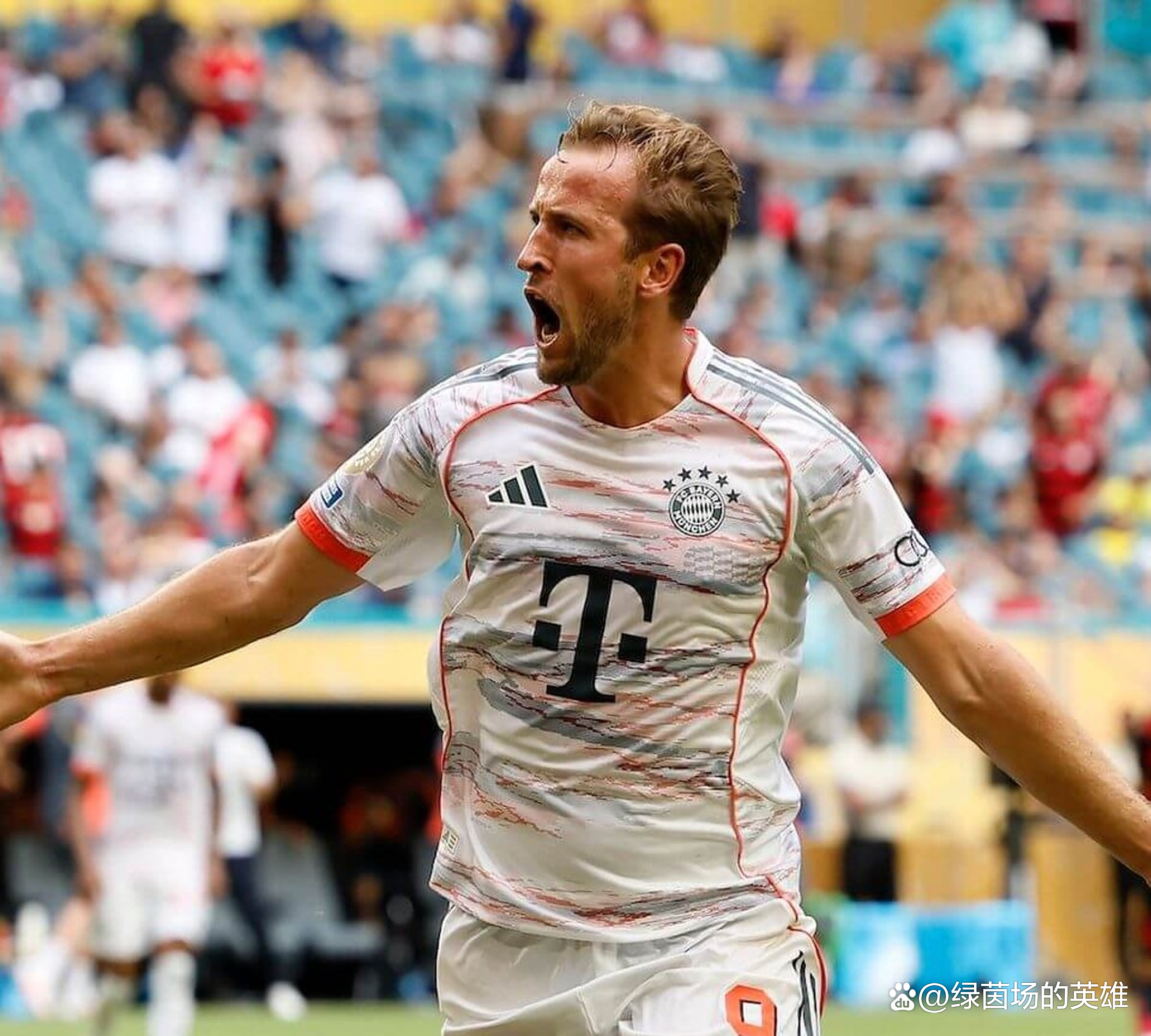 关于韩国完胜比利时，哈里·凯恩打破历史纪录的信息