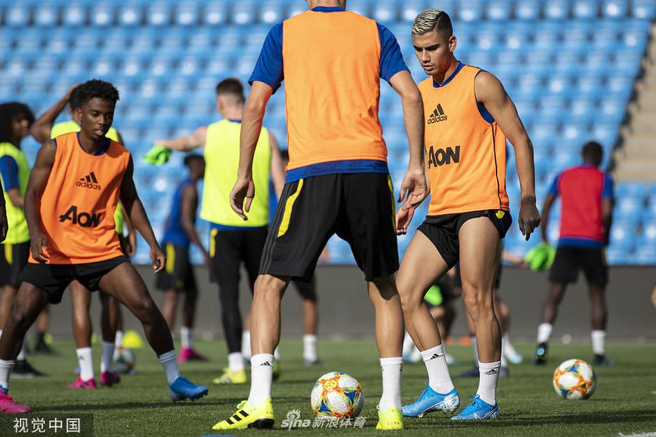 米兰体育网页版-挪威队壮烈一战，球迷为英雄欢呼的简单介绍