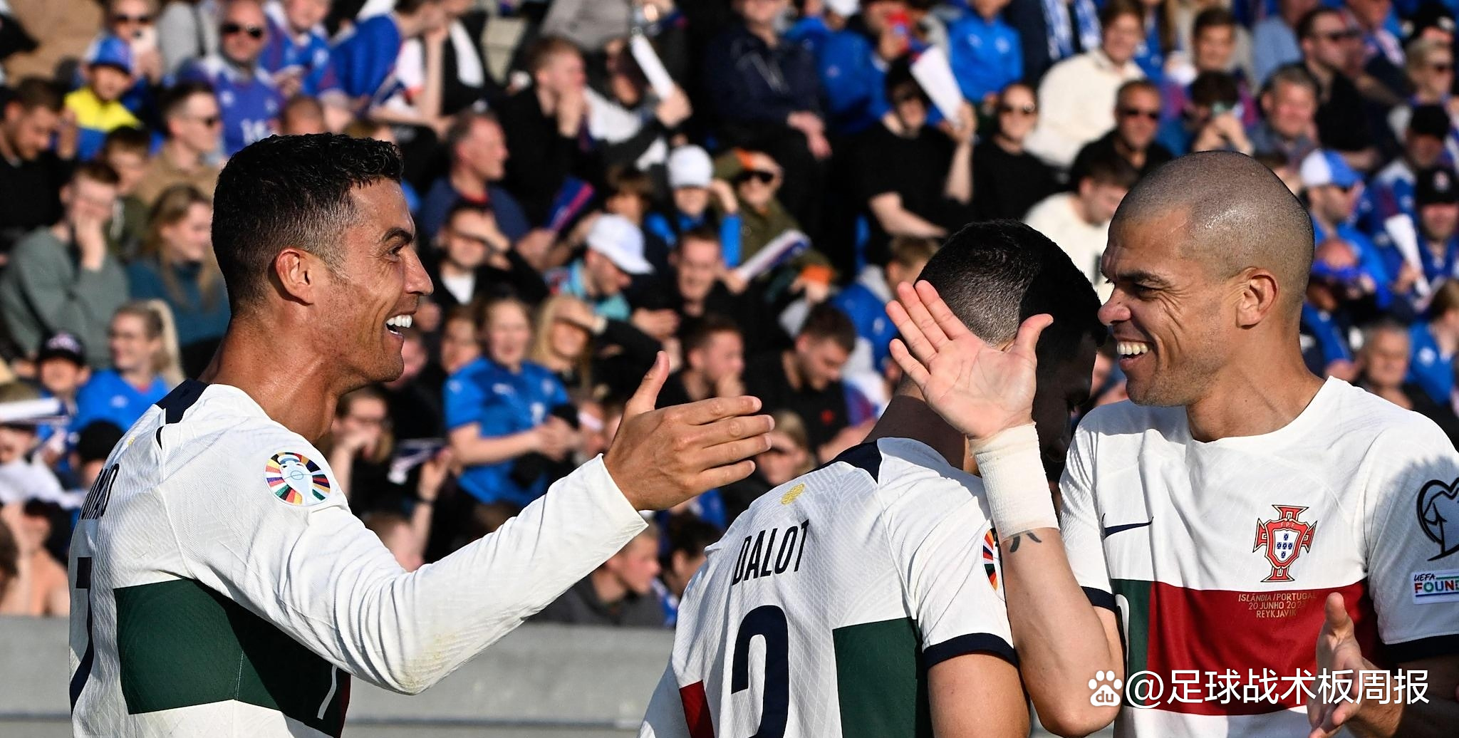 挪威队壮烈一战，球迷为英雄欢呼的简单介绍